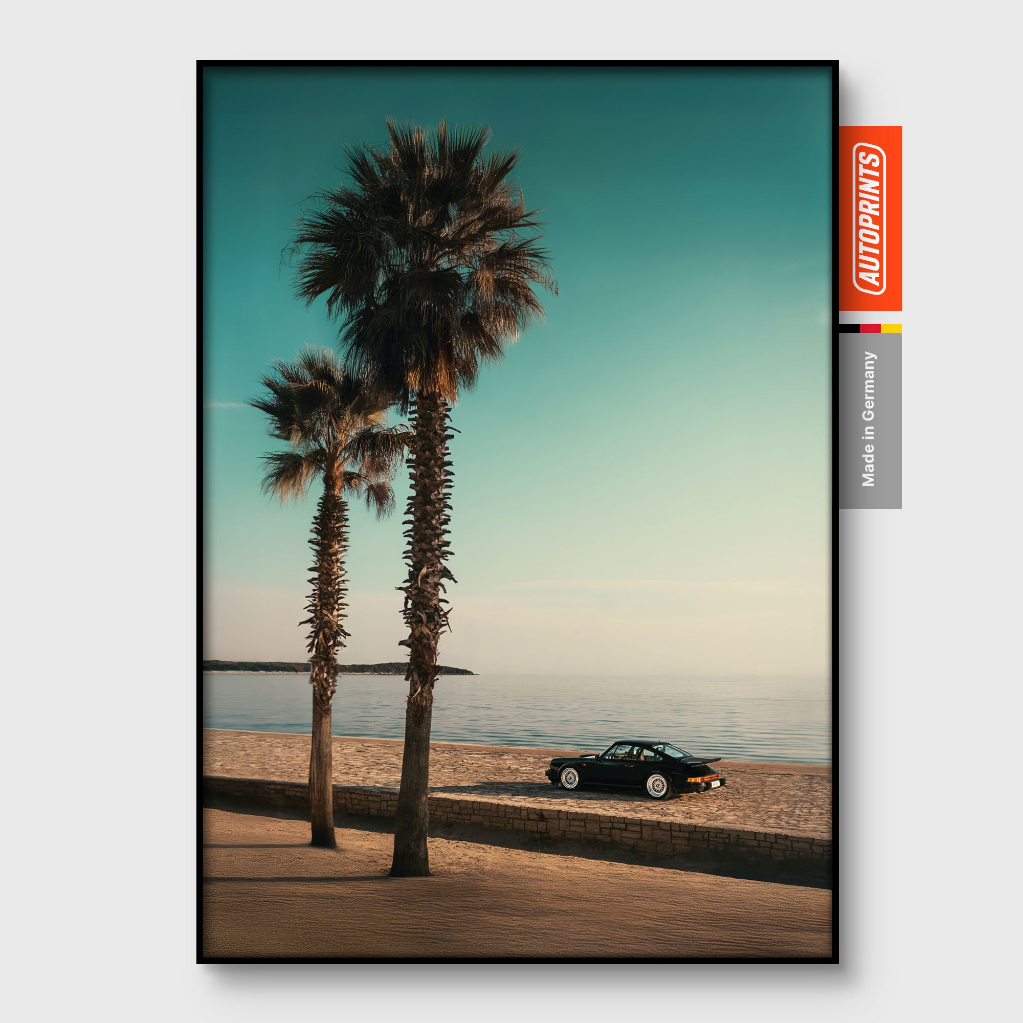Palms