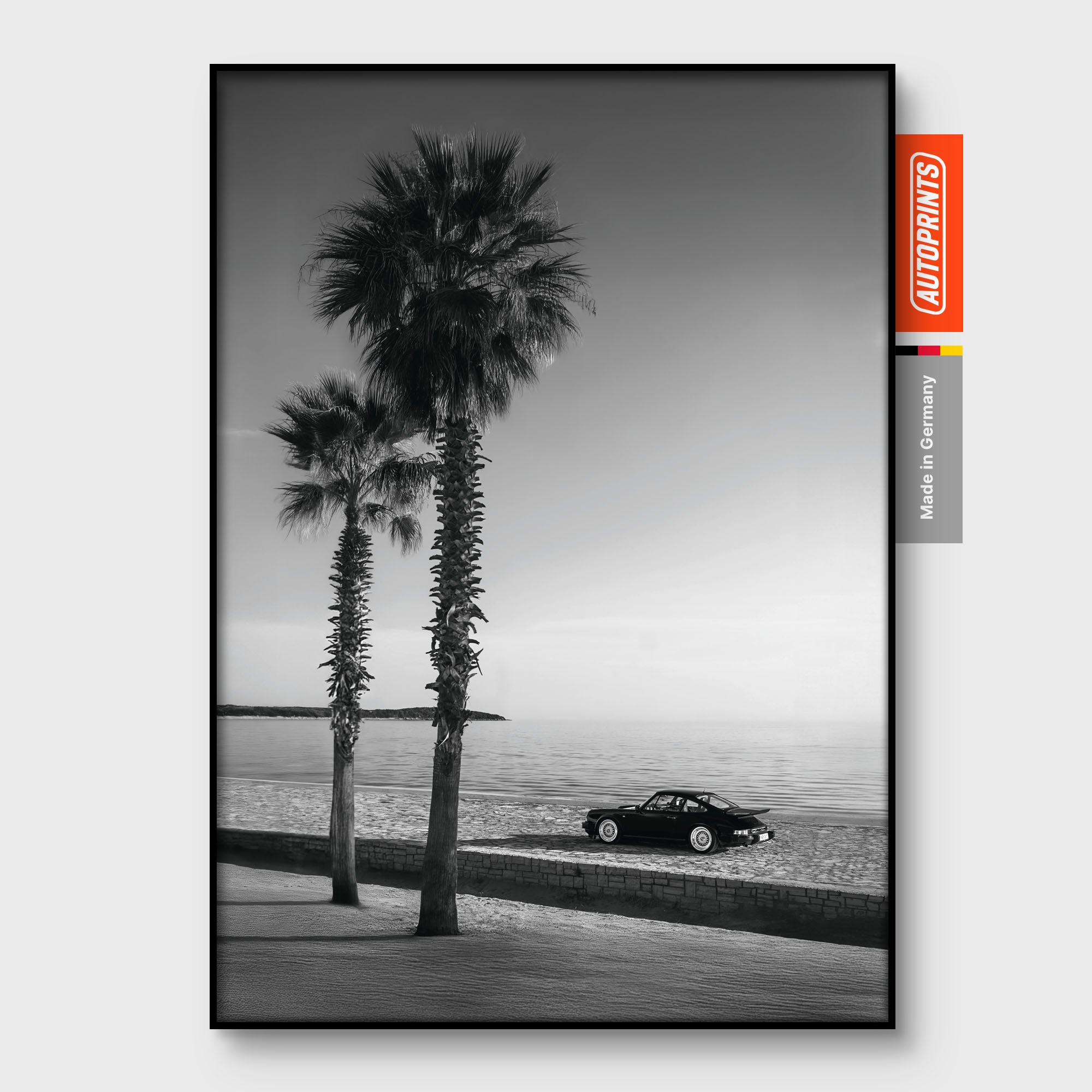 Palms BW